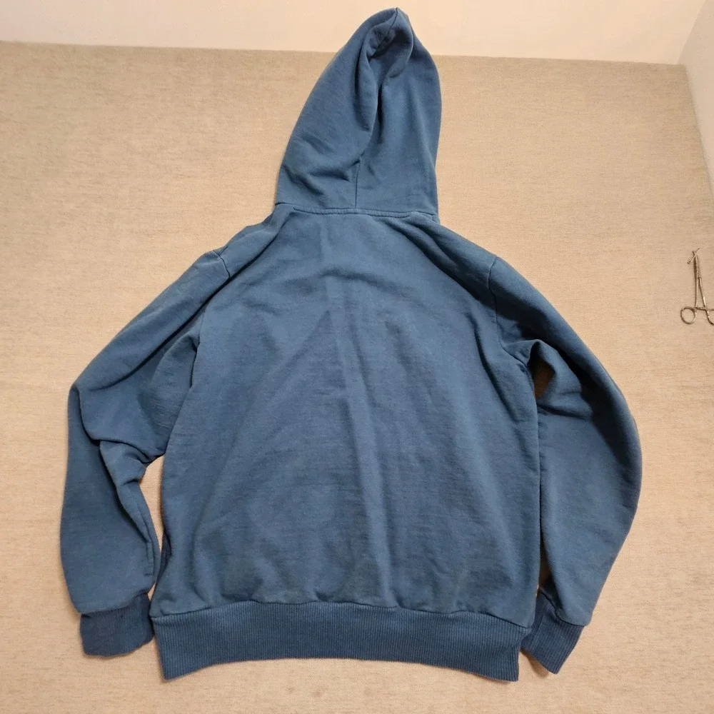 The North Face Pullover Hoodie Men Medium Blue Graphic Mountain Sweatshirt A5IWP